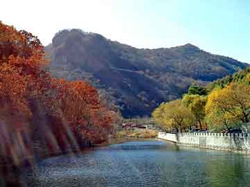 澳门红姐论坛精准两码300期，龙吟洪荒